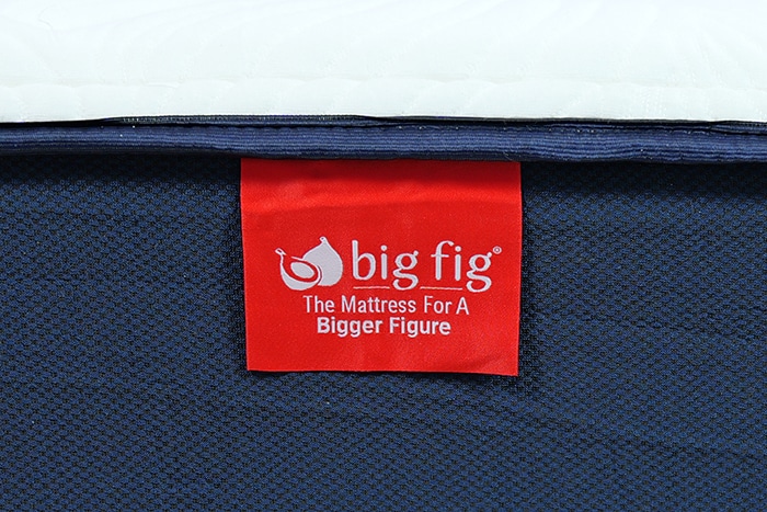 Big Fig Logo Big Fig Logo