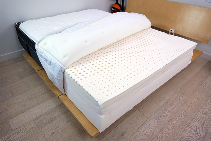 Puffy Monarch Materials Exposed