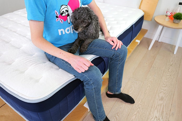 Glacier Summit Edge Sitting