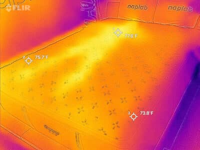 Beautyrest Black Cooling Test After