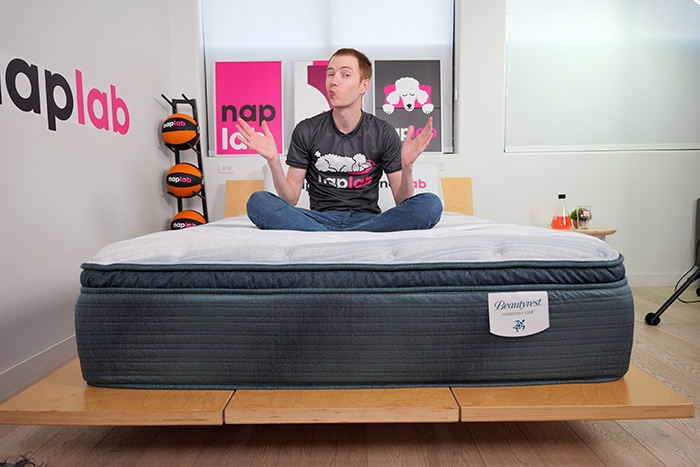 Beautyrest Harmony Lux Sitting 2