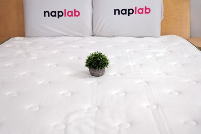 Silk And Snow Organic Cover Pattern 3