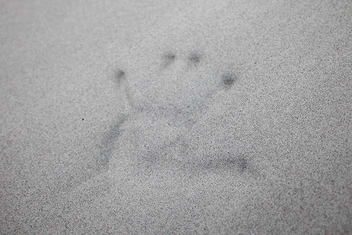 Helix Sunset Elite Memory Foam Imprint Helix Sunset Elite Memory Foam Imprint