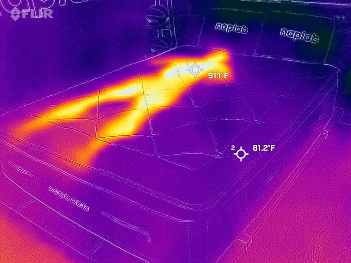 Avocado Luxury Before Cooling Test