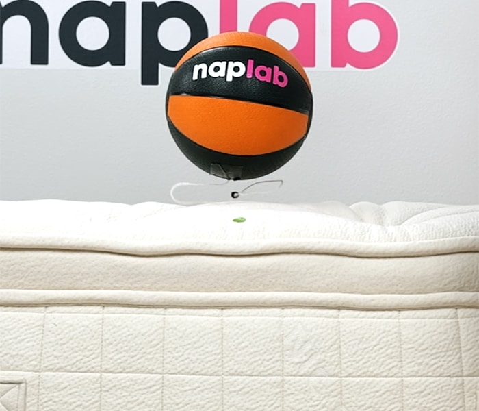 Avocado Luxury Bounce Rebound