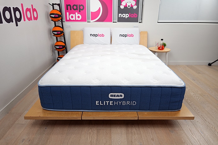 Bear Elite Hybrid 2025 Bear Elite Hybrid 2025