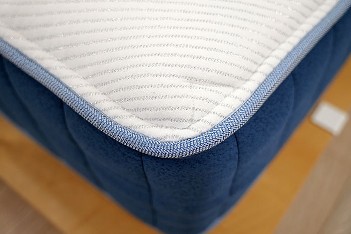 Bear Elite Hybrid 2025 Corner Close Bear Elite Hybrid 2025 Corner Close