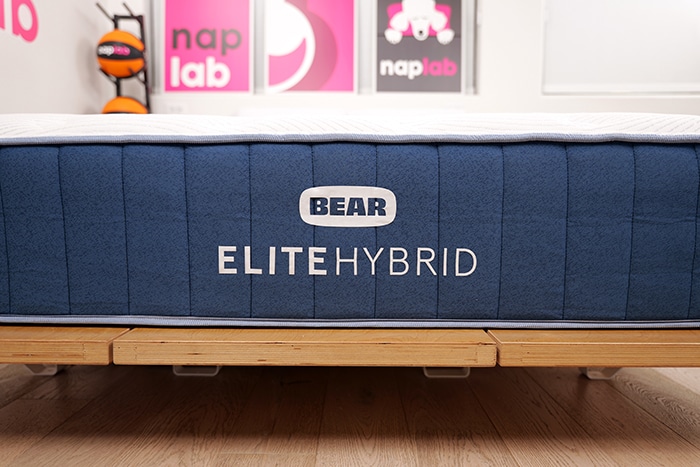 Bear Elite Hybrid 2025 Logo Bear Elite Hybrid 2025 Logo