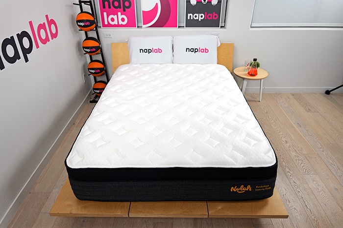 Nolah Evolution 2025