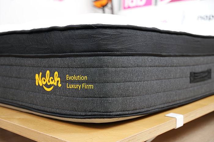 Nolah Evolution 2025 Corner