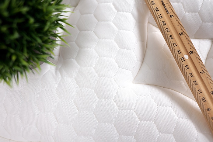 Nolah Evolution 2025 Cover Close