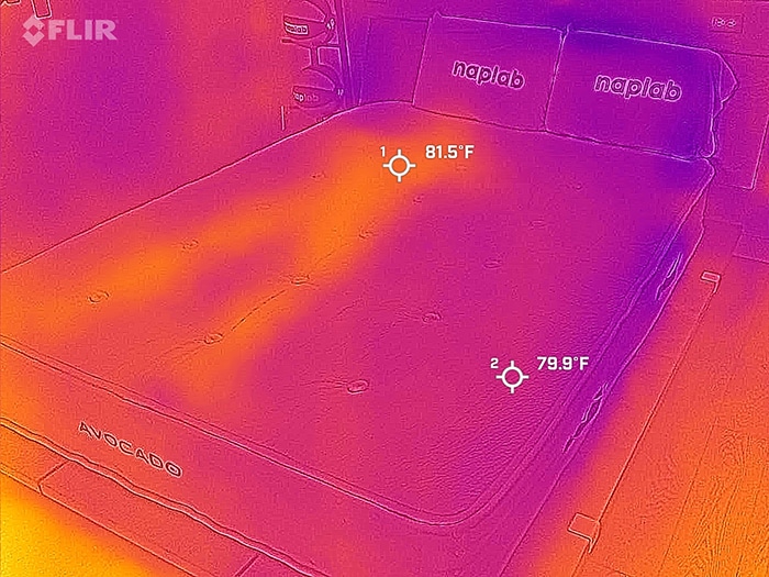Avocado Organic Hybrid After Cooling Test
