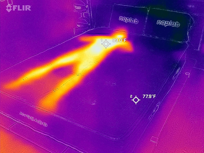 Avocado Organic Hybrid Before Cooling Test