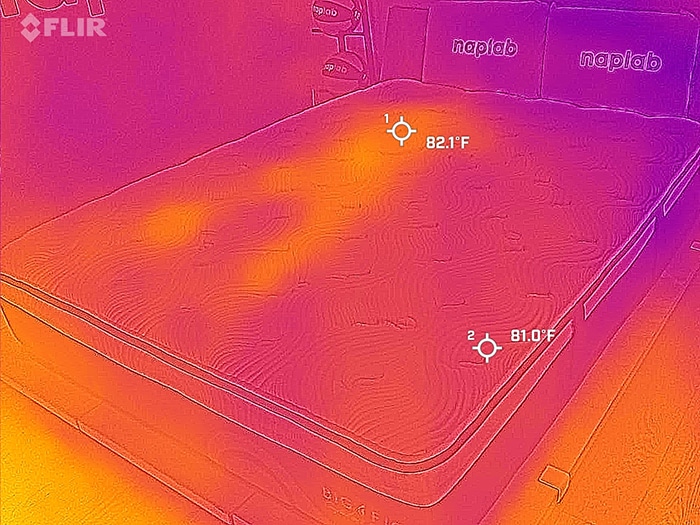 Big Fig Luxe After Cooling Test