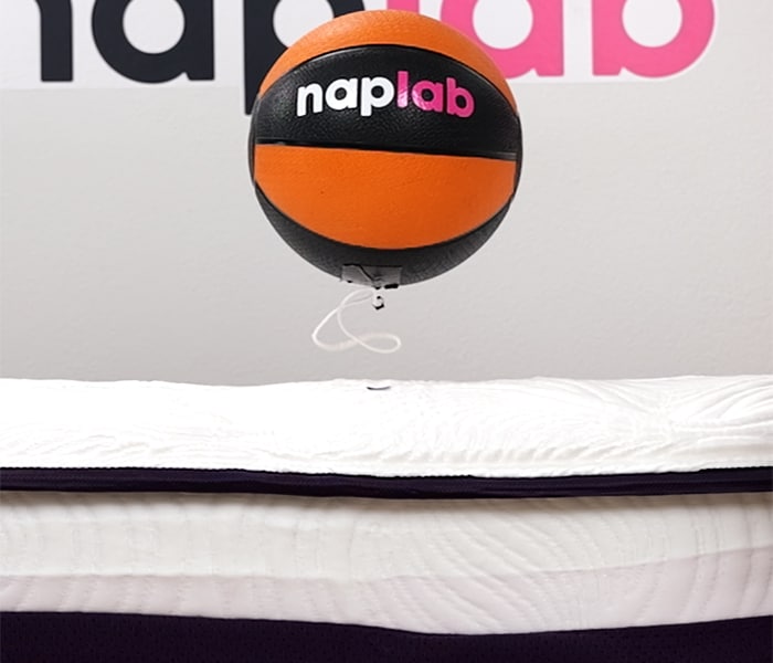 Big Fig Luxe Bounce Rebound