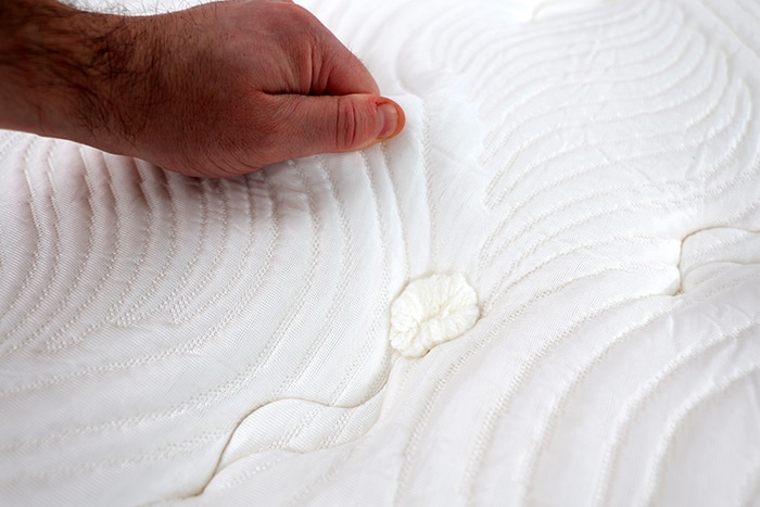 Big Fig Luxe Cover Clsoe