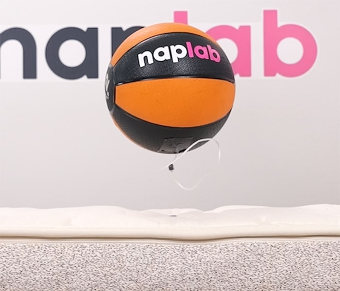 Birch Elite Bounce Rebound