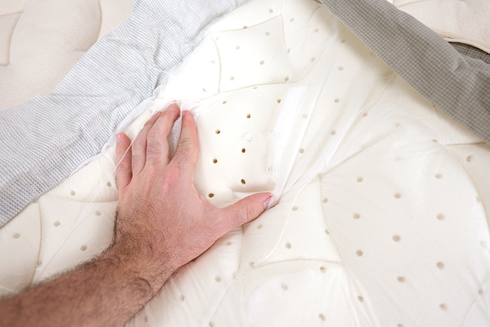 Birch Elite Latex In Cover