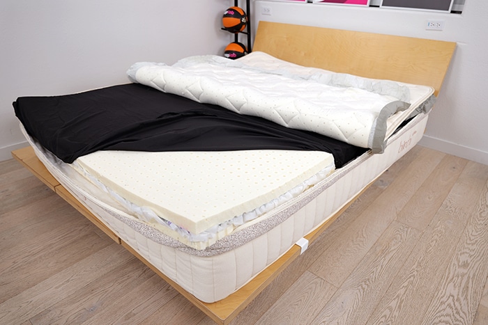 Birch Elite Layers Exposed