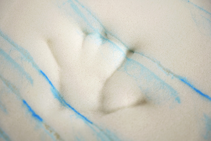 Dreamcloud Ultra Hybrid Memory Foam Imprint