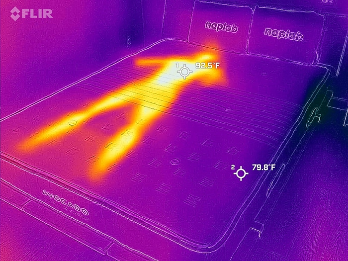 Avocado Extra Firm Before Cooling Test