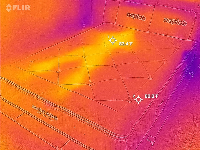 Avocado Wool After Cooling Test