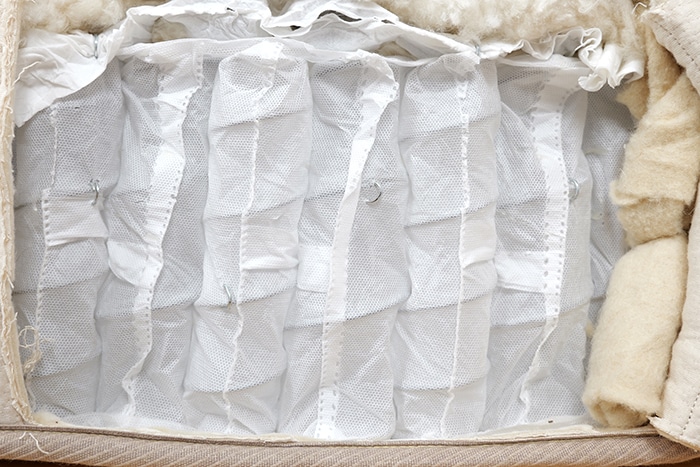 Avocado Wool Support Layer