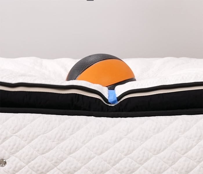 Plushbeds Signature Bliss Bounce Depth