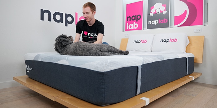 Sealy Icon Hero Image