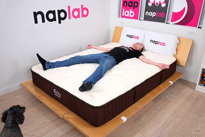 Sweet Zzz Honey Hybrid Back Sleeping