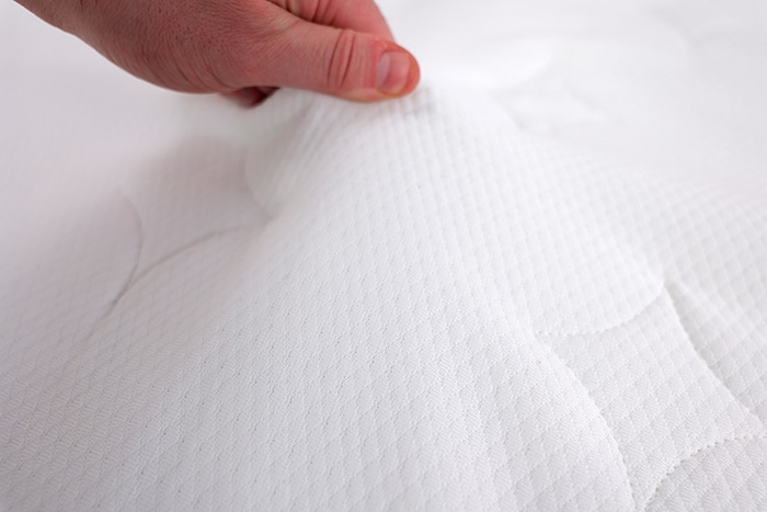 Napqueen Victoria Cover