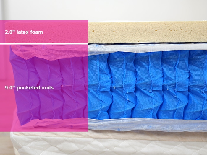 Eco Terra Material Layers