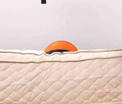 Plushbeds Botanical Bliss Bounce Depth