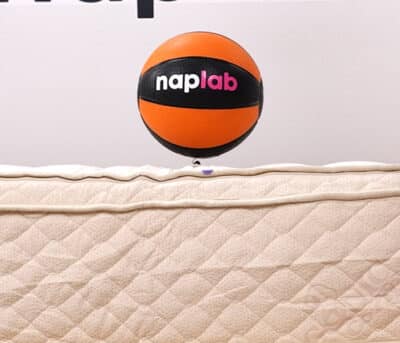 Plushbeds Botanical Bliss Bounce Rebound