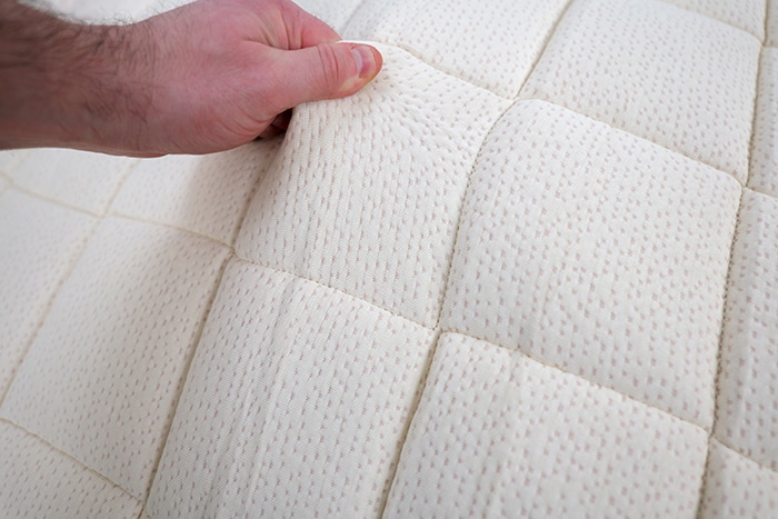 Plushbeds Botanical Bliss Cover