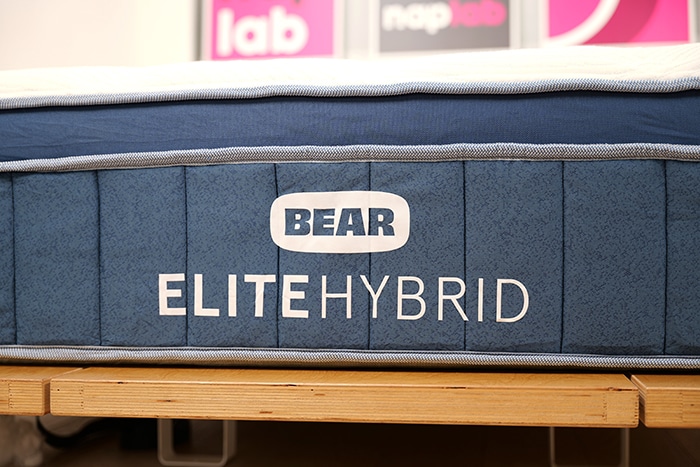 Bear Elite Hybrid Logo