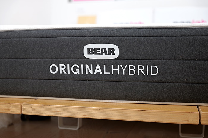 Bear Original Hybrid Logo