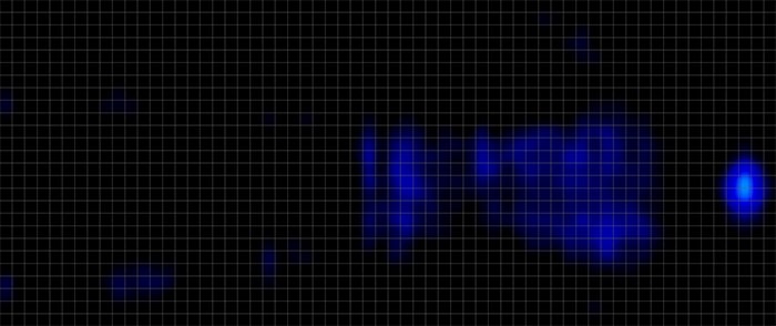 Bear Original Hybrid Pressure Map Back
