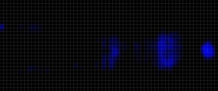 Bear Pro Foam Pressure Map Back