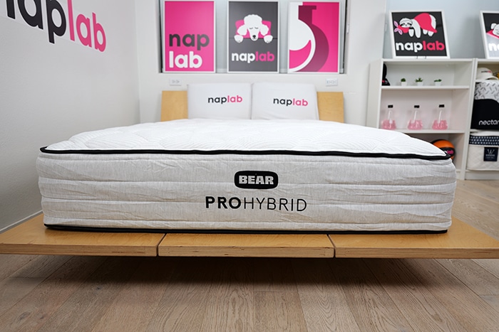 Bear Pro Hybrid Front
