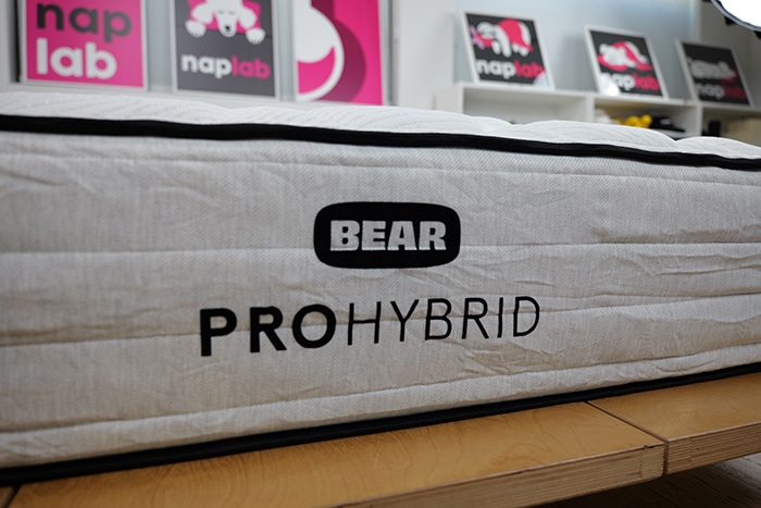 Bear Pro Hybrid Logo