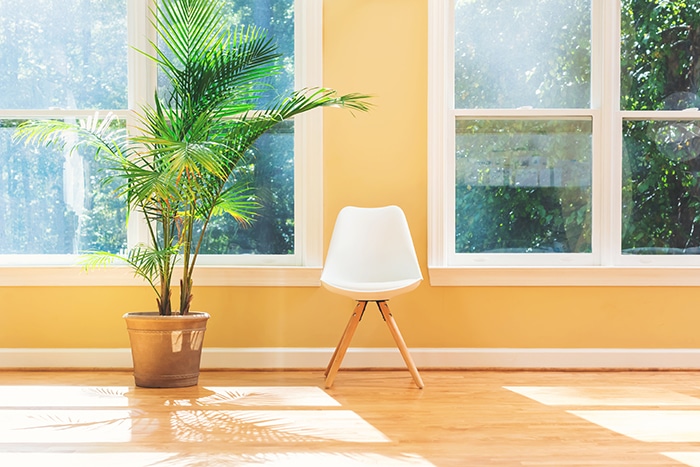 Home Safety Modifications Color And Lighting Theory