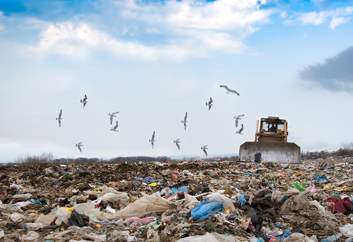Textile And Furniture Recycling Clothes And Furniture Ending Up In A Landfill