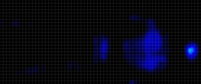 Leesa Sapira Pressure Map Back
